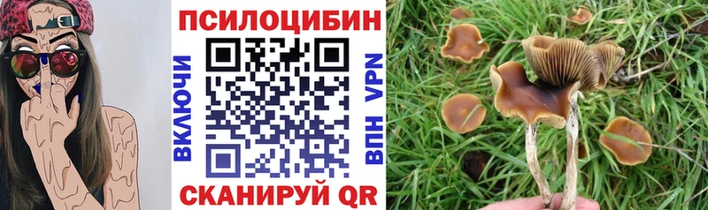 Псилоцибиновые грибы Psilocybine cubensis  Михайловка 